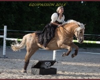 2-13JUIN 0323